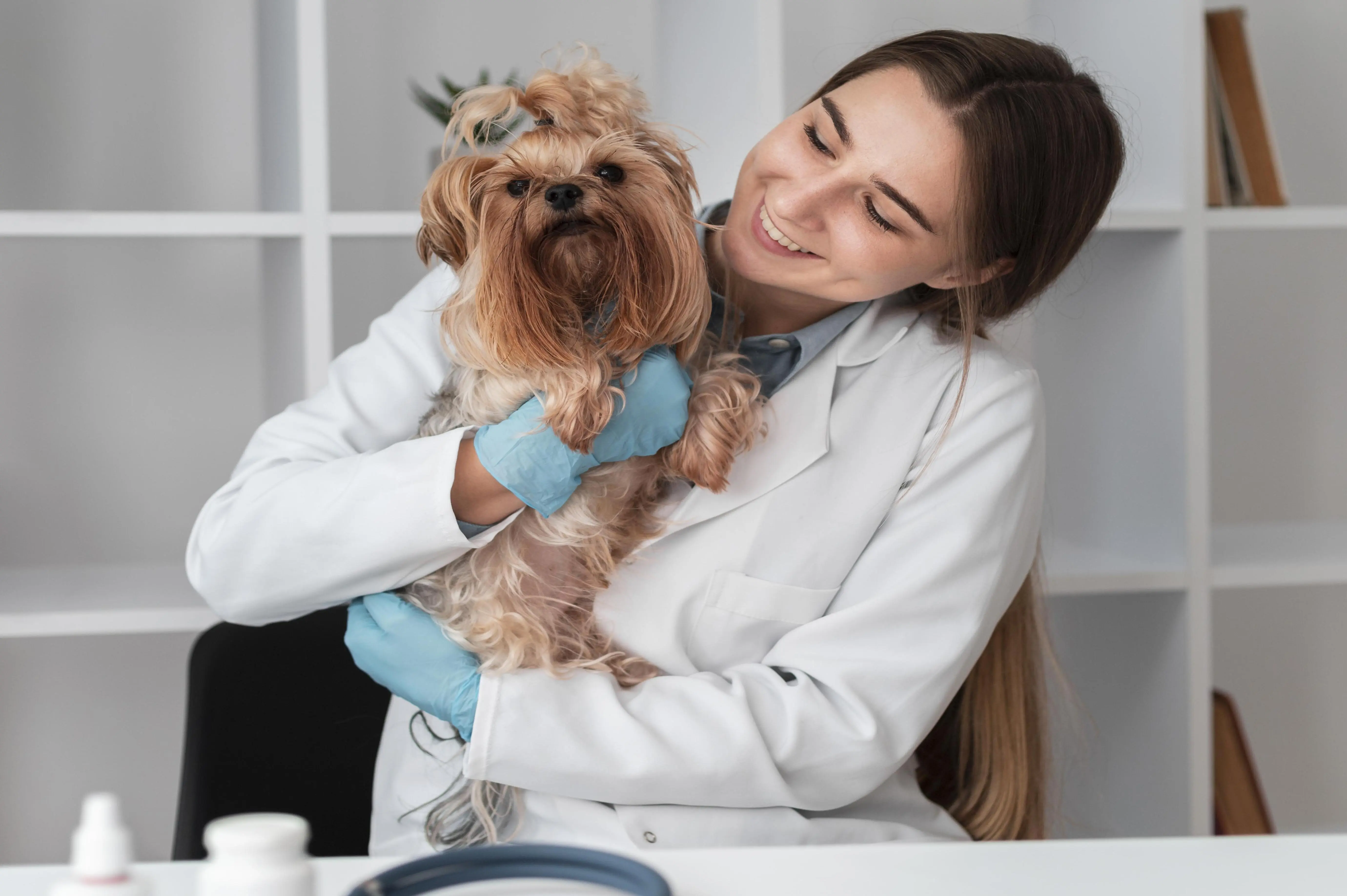Consulta veterinária